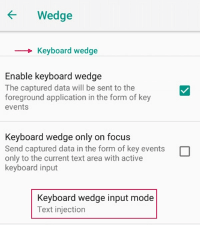 Wedge configuration menu on Datalogic scanner.