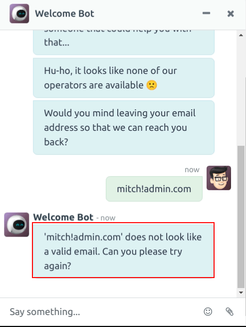 View of a chatbot responding to an invalid email.