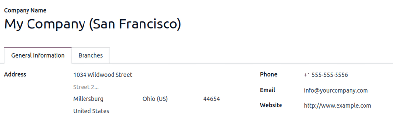 Company information in Odoo.