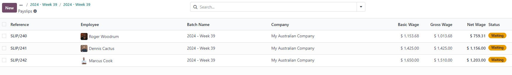 Generated payslips in the waiting stage